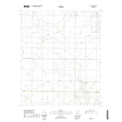 2020 Map of Mist NW, 2020 Print