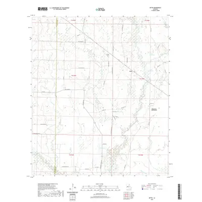 2020 Map of Mittie, 2020 Print