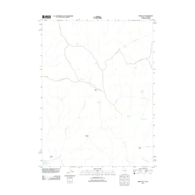 2011 Map of Mixie Flat, 2011 Print