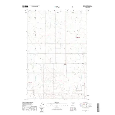 2020 Map of Moline School, 2020 Print