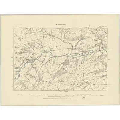 1884 Map of Montgomeryshire XXIX.NE, 1885 Print