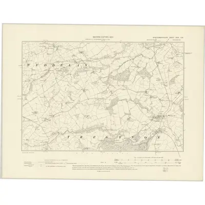 1901 Map of Montgomeryshire XXIX.SW, 1903 Print
