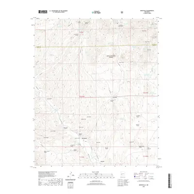 2020 Map of Monticello, 2020 Print