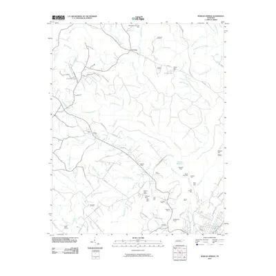 2010 Map of Morgan Springs, 2010 Print