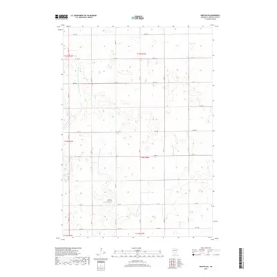 2019 Map of Morton NW, 2019 Print