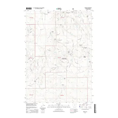 2015 Map of Moskee, 2015 Print