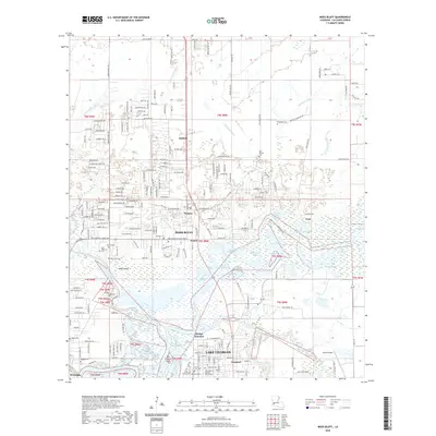 2020 Map of Moss Bluff, 2020 Print