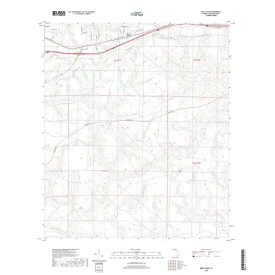 2018 Map of Mossy Head, 2018 Print