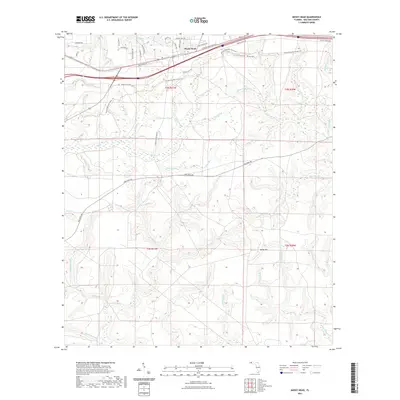 2021 Map of Mossy Head, 2021 Print