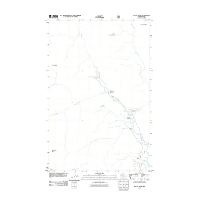 2011 Map of Mount David, 2011 Print