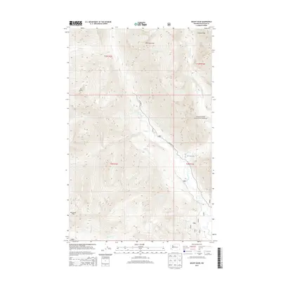 2014 Map of Mount David, 2014 Print