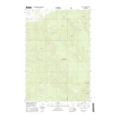 2017 Map of Mount Ellis, 2017 Print