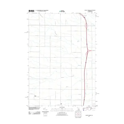 2011 Map of Mount Forest, 2011 Print