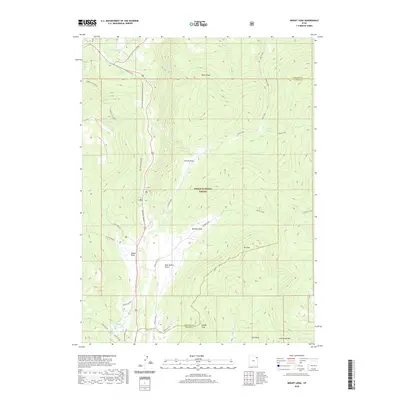 2020 Map of Mount Lena, 2020 Print