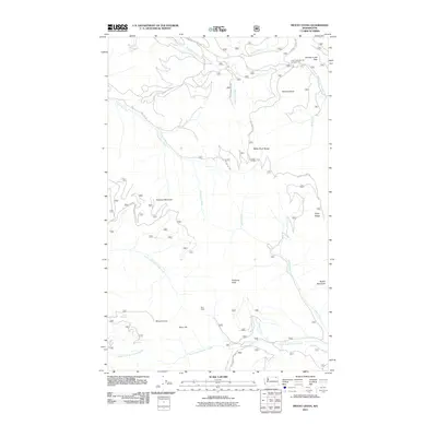 2011 Map of Mount Leona, 2011 Print