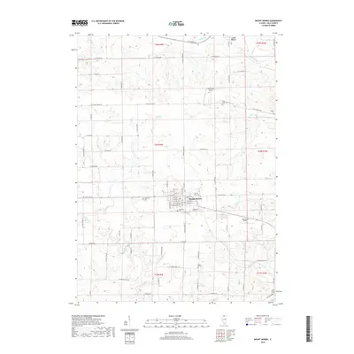 2018 Map of Mount Morris, 2018 Print
