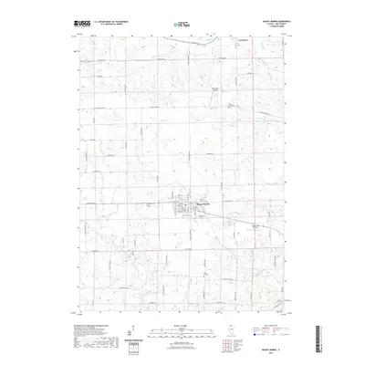 2021 Map of Mount Morris, 2021 Print