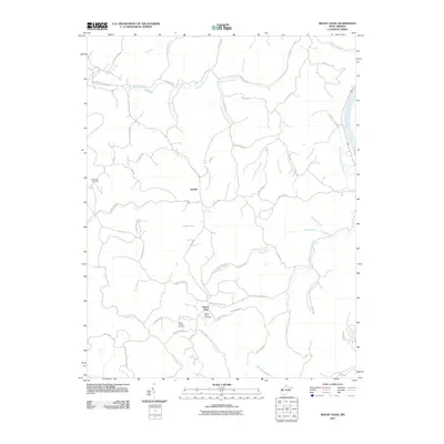 2011 Map of Mount Olive, 2011 Print