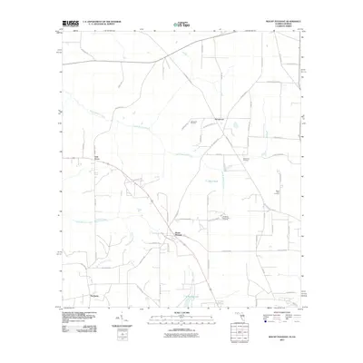 2011 Map of Mount Pleasant, 2011 Print