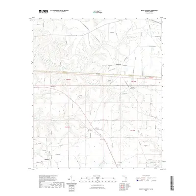 2021 Map of Mount Pleasant, 2021 Print