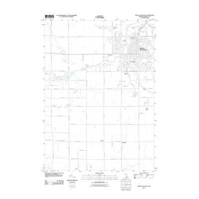 2011 Map of Mount Pleasant, 2011 Print