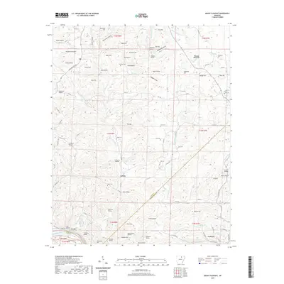 2020 Map of Mount Pleasant, 2020 Print