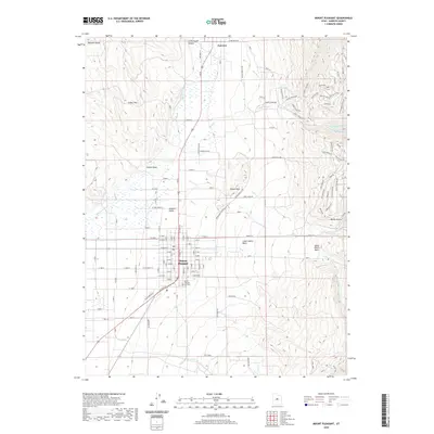 2020 Map of Mount Pleasant, 2020 Print