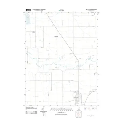 2012 Map of Mount Pulaski, 2012 Print
