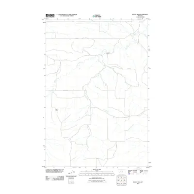2011 Map of Mount Sinai, 2011 Print