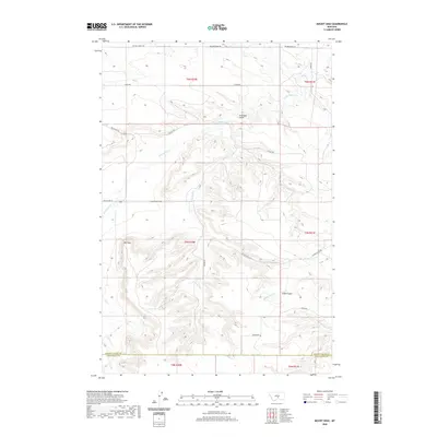 2020 Map of Mount Sinai, 2020 Print