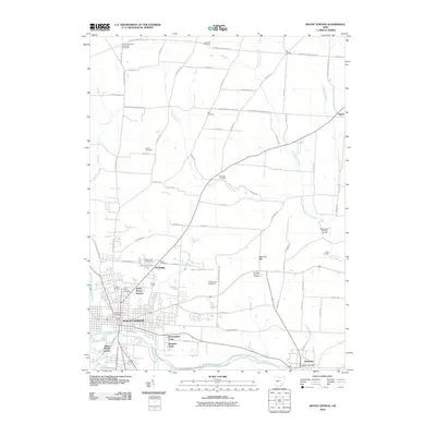 2010 Map of Mount Vernon, 2010 Print