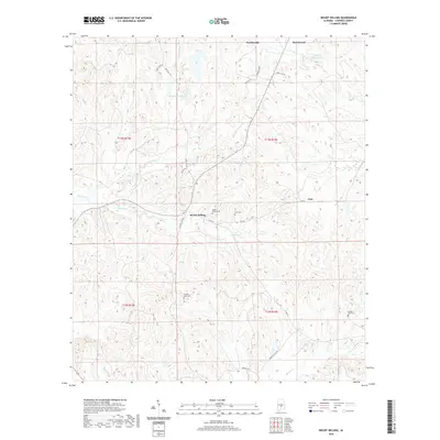2020 Map of Mount Willing, 2020 Print
