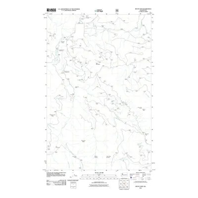2011 Map of Mount Zion, 2011 Print