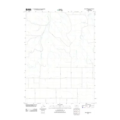 2011 Map of Mud Springs, 2011 Print