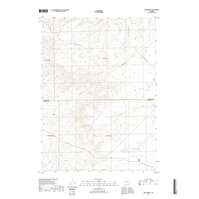 2017 Map of Mud Springs, 2017 Print