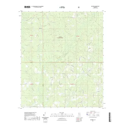 2021 Map of Mulberry, 2021 Print