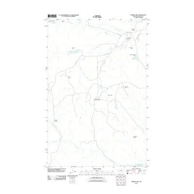 2011 Map of Murray Hill, 2011 Print