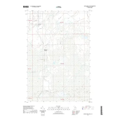 2019 Map of Muskallonge Lake SE, 2019 Print