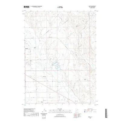 2020 Map of Naples, 2020 Print