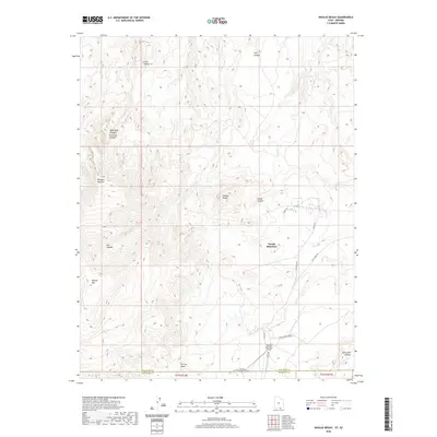 2020 Map of Navajo Begay, 2020 Print