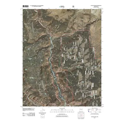 2011 Map of Navajo Peak, 2011 Print