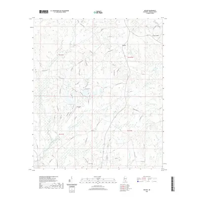 2020 Map of Necaise, 2020 Print