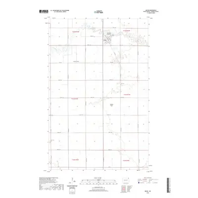 2020 Map of Neche, 2020 Print
