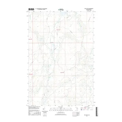2017 Map of Ned Lake SE, 2017 Print