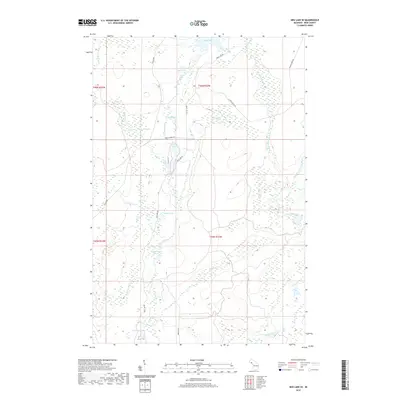 2019 Map of Ned Lake SE, 2019 Print