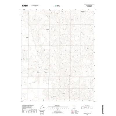 2020 Map of Needle Eye Point, 2020 Print