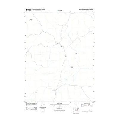 2011 Map of Nellie Spring Mountain, 2011 Print