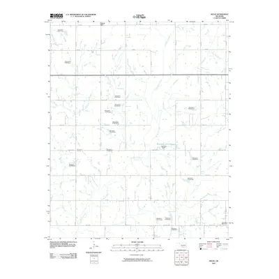 2009 Map of Nellie, 2009 Print