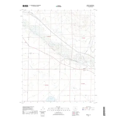 2019 Map of Nepesta, 2019 Print