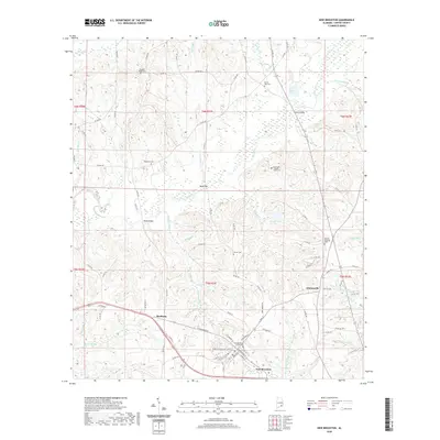 2020 Map of New Brockton, 2020 Print